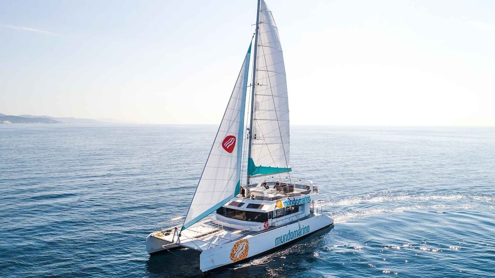 Malaga: Catamaran Sailing Cruise with Swimming & Optional DJ