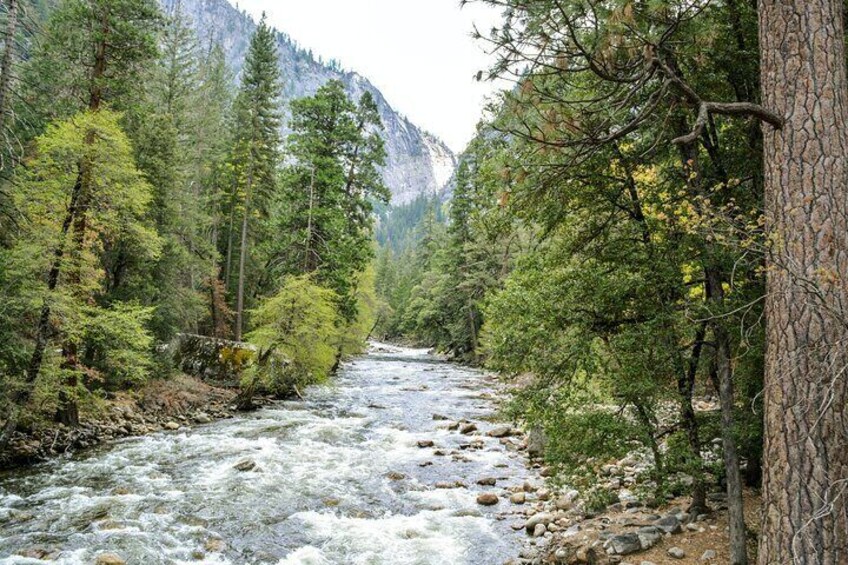 Yosemite Immersion Private Two Day Tour from San Francisco 