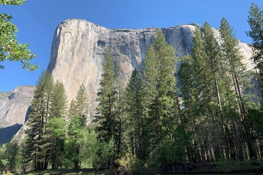 Yosemite Immersion Private Two Day Tour from San Francisco 