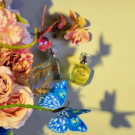Scentopia - Perfume Making Family Bundles