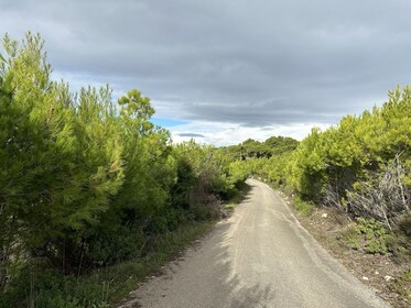 Escapada al atardecer en 4x4 a Zakynthos