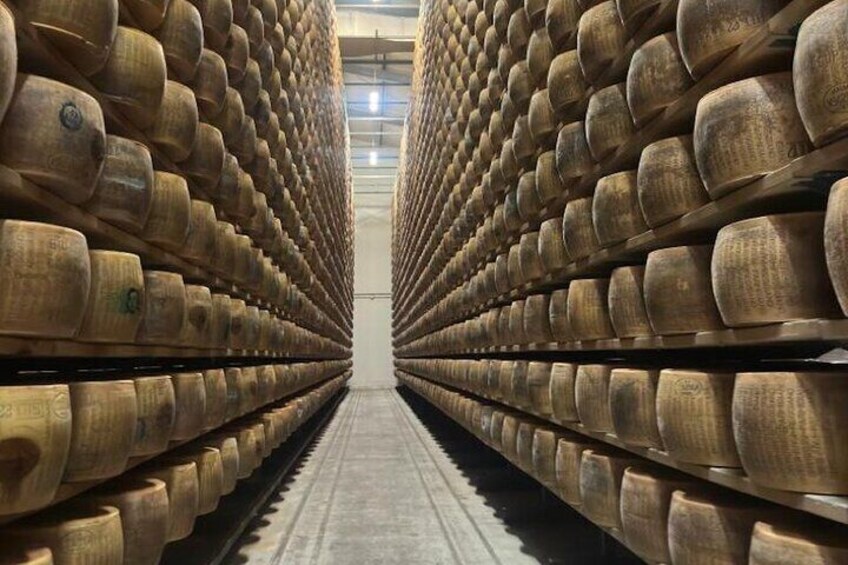 From Bologna: Parmesan Cheese & Balsamic Vinegar Tour+Lunch