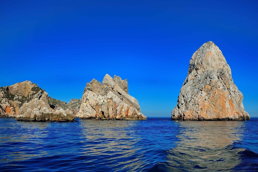 Picture 4 for Activity Guided Boat Tour to Medes Islands & Roca Foradada with Swim