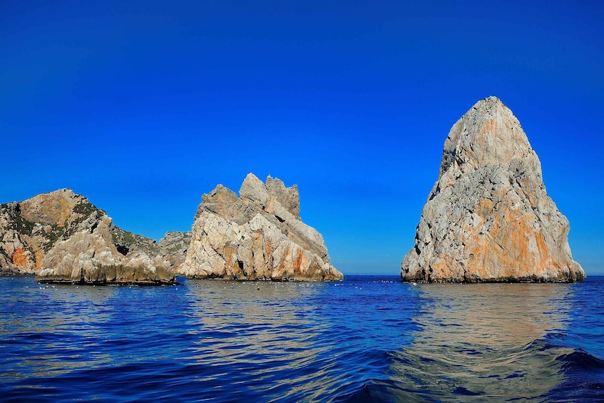 Picture 4 for Activity Guided Boat Tour to Medes Islands & Roca Foradada with Swim