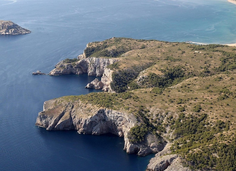 Picture 7 for Activity Guided Boat Tour to Medes Islands & Roca Foradada with Swim