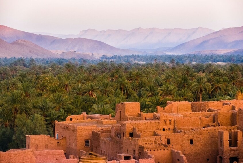 Siwa Oasis Odyssey: A Timeless Tale of Desert Wonders