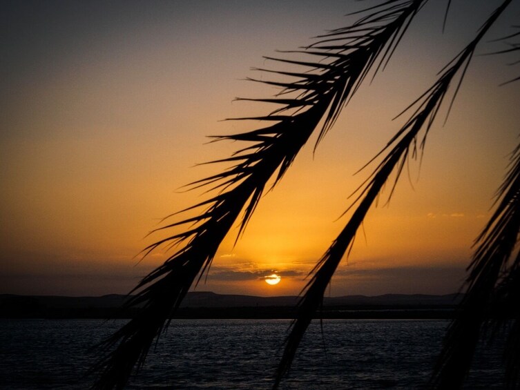 Siwa Oasis Odyssey: A Timeless Tale of Desert Wonders