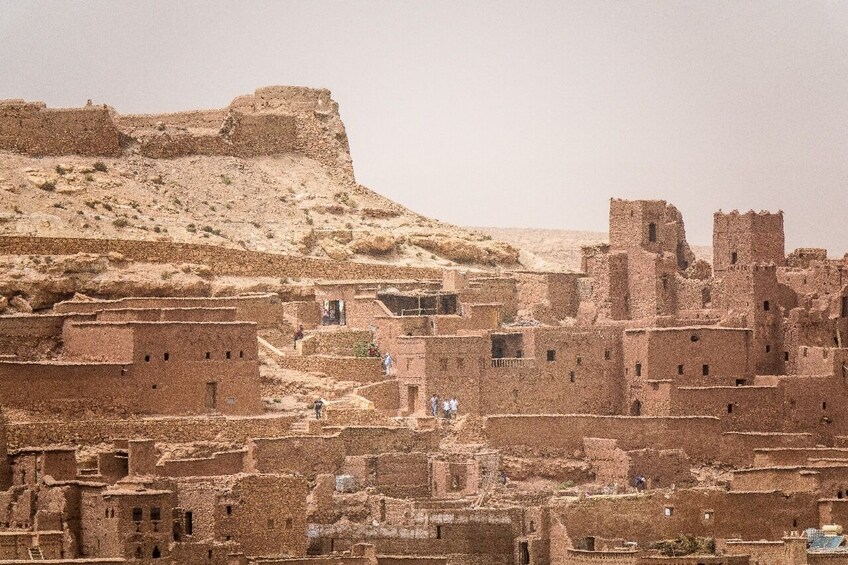 Siwa Oasis Odyssey: A Timeless Tale of Desert Wonders