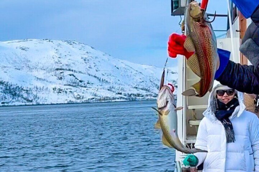 Luxury Arctic Fishing Trip and Seafood Fjord Cruise in Tromsø