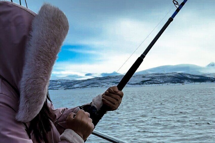 Luxury Arctic Fishing Trip and Seafood Fjord Cruise in Tromsø