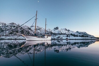 Luxury Arctic Fishing Trip and Seafood Fjord Cruise in Tromsø