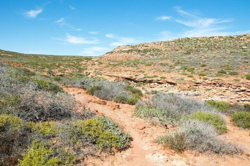 Kalbarri National Park Self Guided Driving Tour