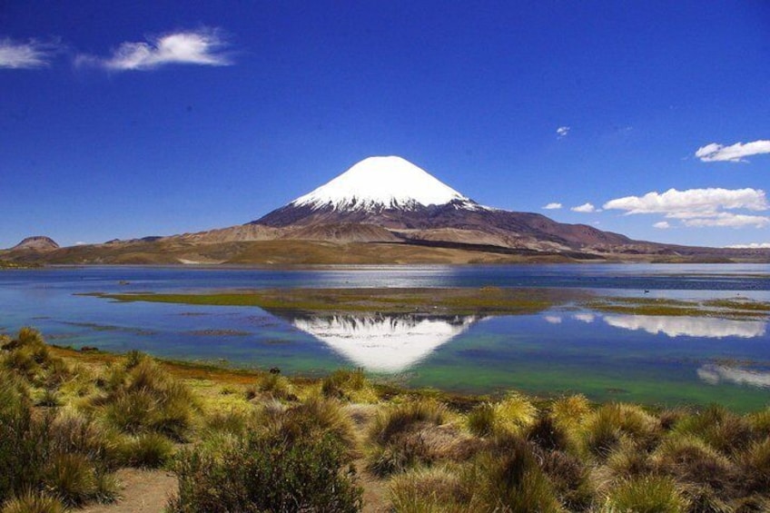 Arica: Full day to Lauca National Park and Chungara Lake, meals included
