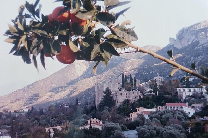 2 day & 1 night Private Nature Walking in unspoilt Kyrenia range 