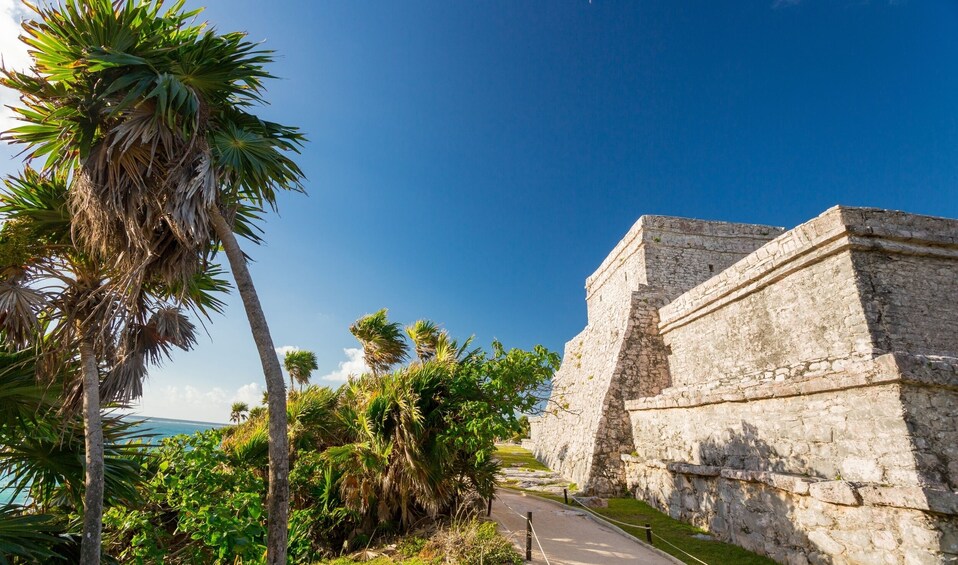 Coba & Tulum with Cenote Mariposa, Mayan Traditions & Lunch