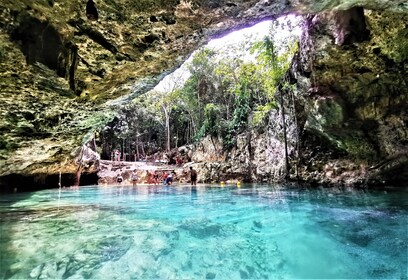 Coba & Cenote Day Trip with Lunch