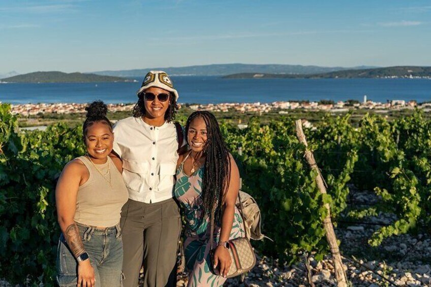 Vineyard Wine Tasting Experience with a Sea view from Split