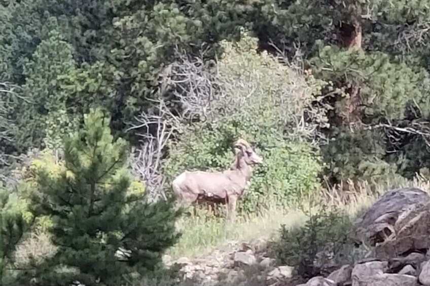 All Day Rocky Mountain National Park to Grand Lake Tour