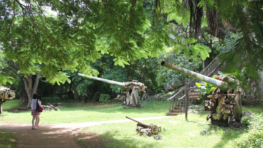 Show item 3 of 5. Historical military gun emplacements in park in Saipan