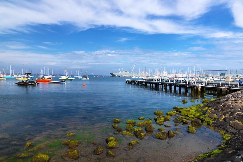 Picture 4 for Activity Melbourne: City and Williamstown Ferry Cruise