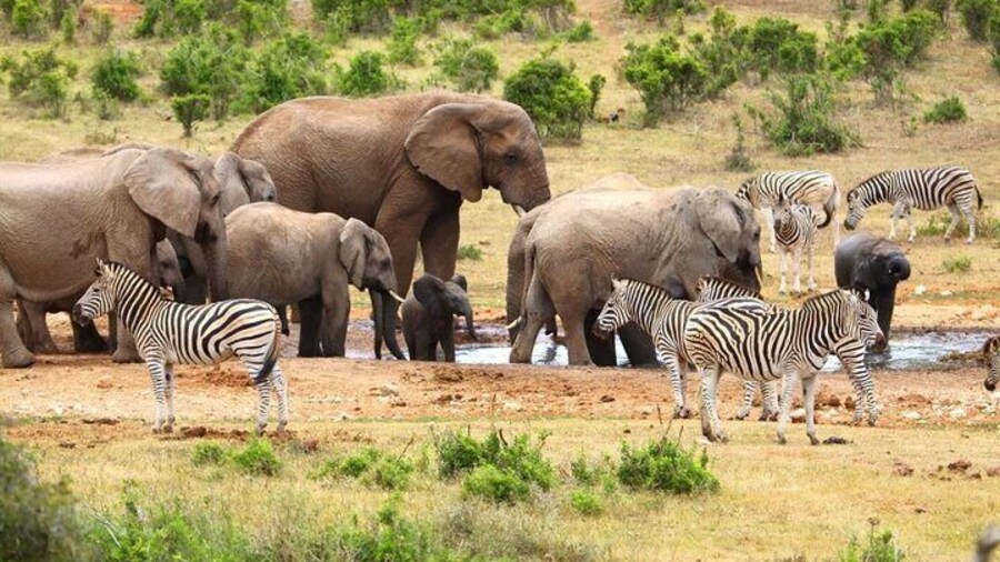 2-day Private Garden Route Tour from Cape Town