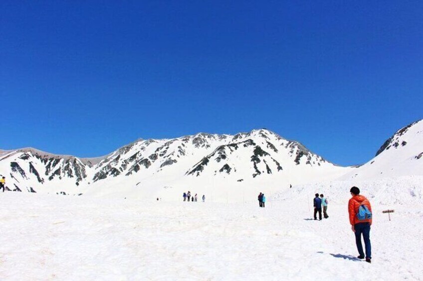 Tateyama Snow Walls and Zuiryuji Temple Tour From Kanazawa