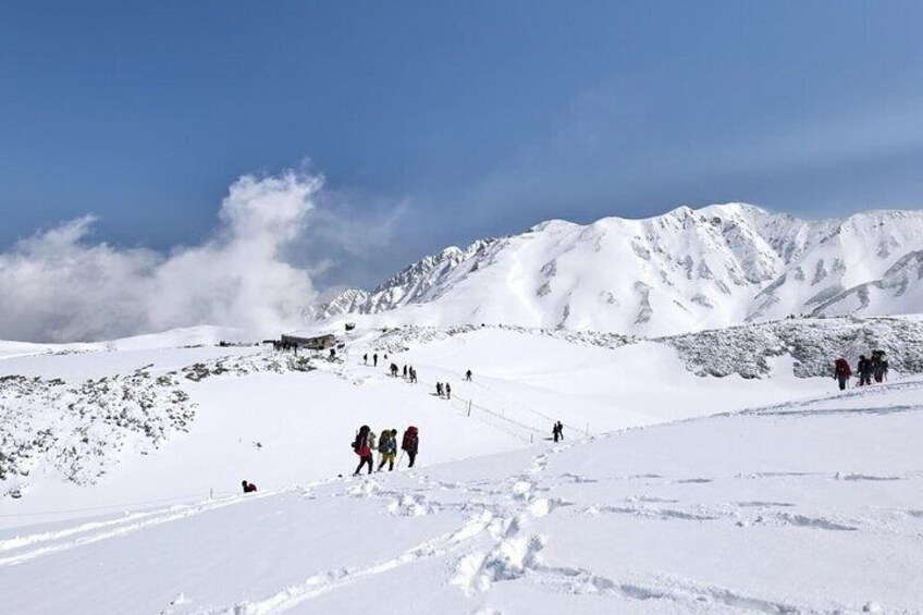 Tateyama Snow Walls and Zuiryuji Temple Tour From Kanazawa