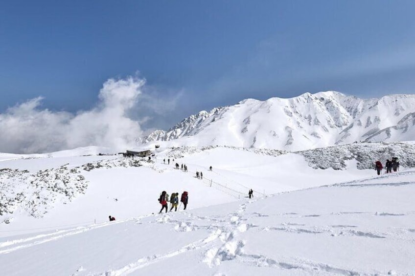 Tateyama Snow Walls and Zuiryuji Temple Tour From Kanazawa