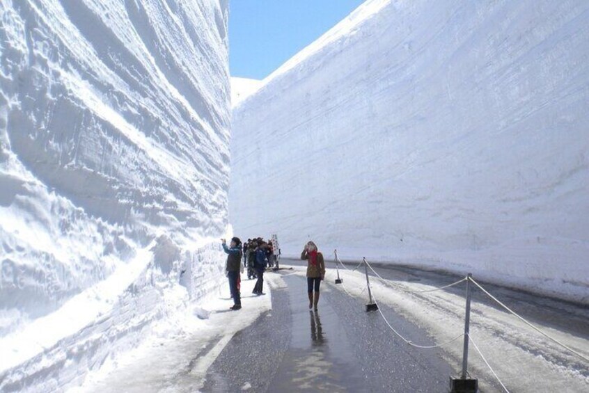 Tateyama Snow Walls and Zuiryuji Temple Tour From Kanazawa