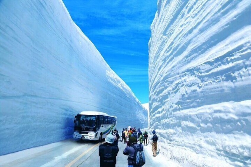 Tateyama Snow Walls and Zuiryuji Temple Tour From Kanazawa