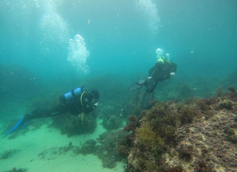 Picture 10 for Activity Lisbon: 4-Day Advanced Open Water Diver Course