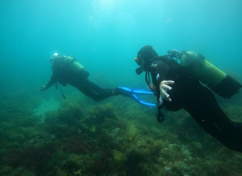 Picture 9 for Activity Lisbon: 4-Day Advanced Open Water Diver Course