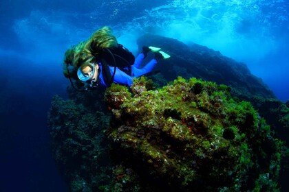 Lisbonne : Cours de 4 jours pour les plongeurs Open Water avancés