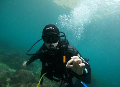 Lisbonne : Cours avancé de plongeur en eau libre de 4 jours