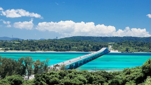 古宇利島、美麗海水族館和美國村巴士遊覽