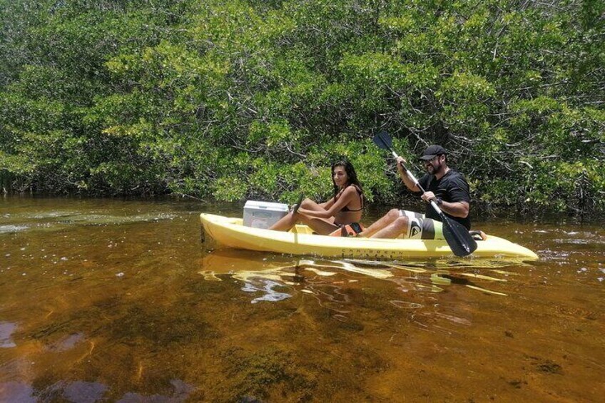 Sisal kayak through Mangroves & Bird watching from Merida