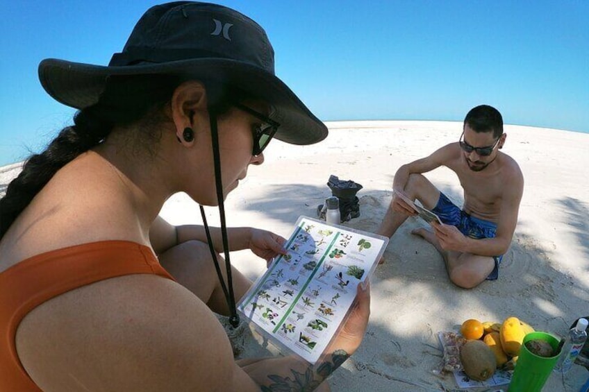 Sisal kayak through Mangroves & Bird watching from Merida