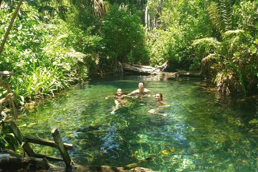 Sisal kayak through Mangroves & Bird watching from Merida