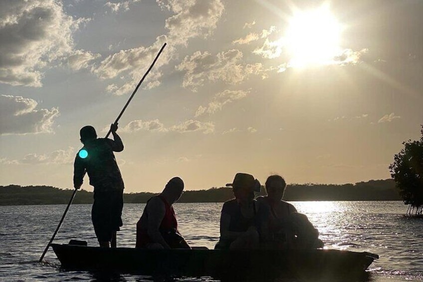 Sisal kayak through Mangroves & Bird watching from Merida