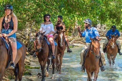 Horseback Riding / Island Tour / Private Vehicle