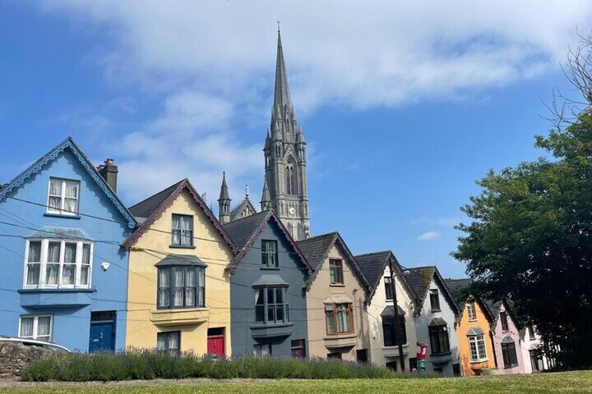 Private Shore excursion Cork (Blarney Castle and Kinsale)