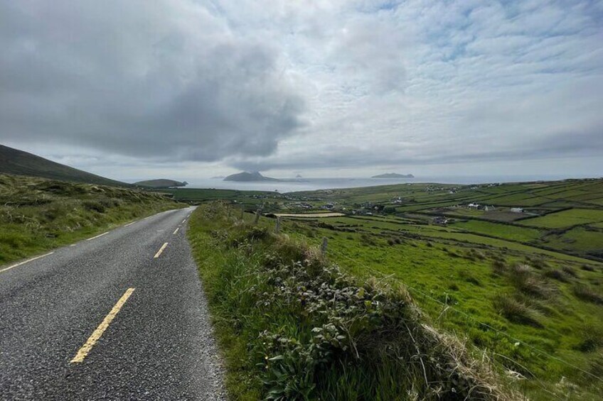 Dingle Peninsula Private Chauffeur-Guided Tour from Cork