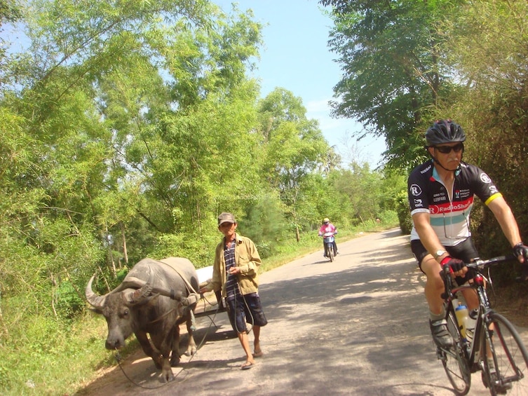 Half-Day Hue Bicycle Tour & Cooking Class