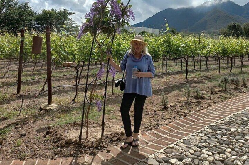 Full Day Tour in Finca Estramancia Vineyard with stop in Chapala