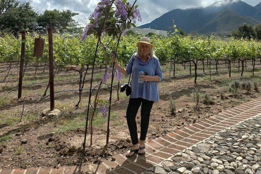 Full Day Tour in Finca Estramancia Vineyard with stop in Chapala