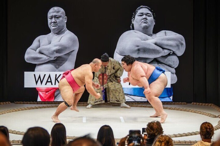 Sumo show experience in Osaka Namba: THE SUMO HALL HIRAKUZA OSAKA