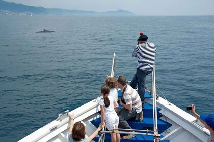 Aquarium von Genua Ticket und Walbeobachtungstour