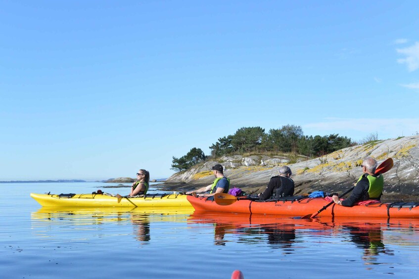 Picture 9 for Activity Jørpeland: Guided fjordtour kayak