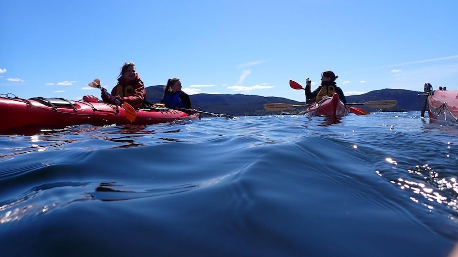 JĂžrpeland: Guided fjordtour kayak