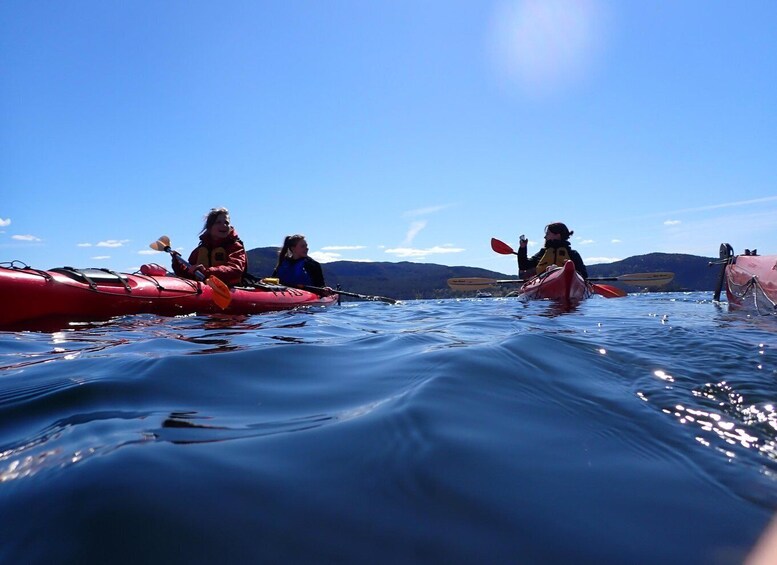 Jørpeland: Guided fjordtour kayak